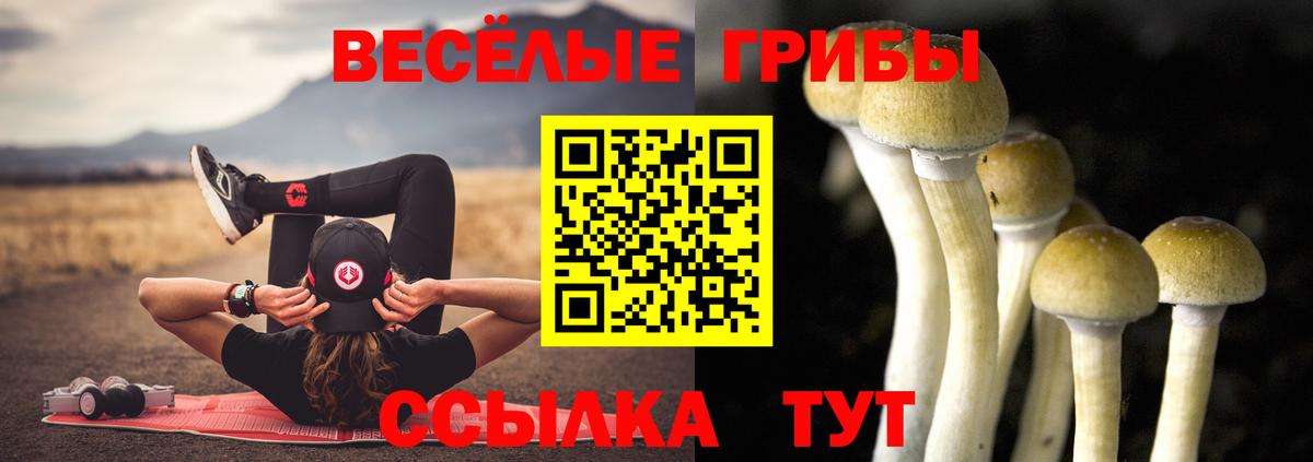 Усть-Кут  Галлюциногенные грибы ЛСД  Вход с VPN  Галлюциногенные грибы MAGIC MUSHROOMS 